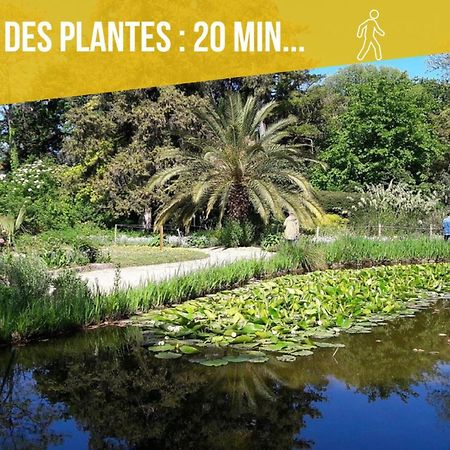 Amja Proche Clinique Saint-Roch Apt 3 Chambres 3 Salles De Bain Parking Gratuit Ideal Famille Groupe Coworking 10 Min Centre Ville 10 Min Plage 5 Min Sortie Autoroute モンペリエ エクステリア 写真