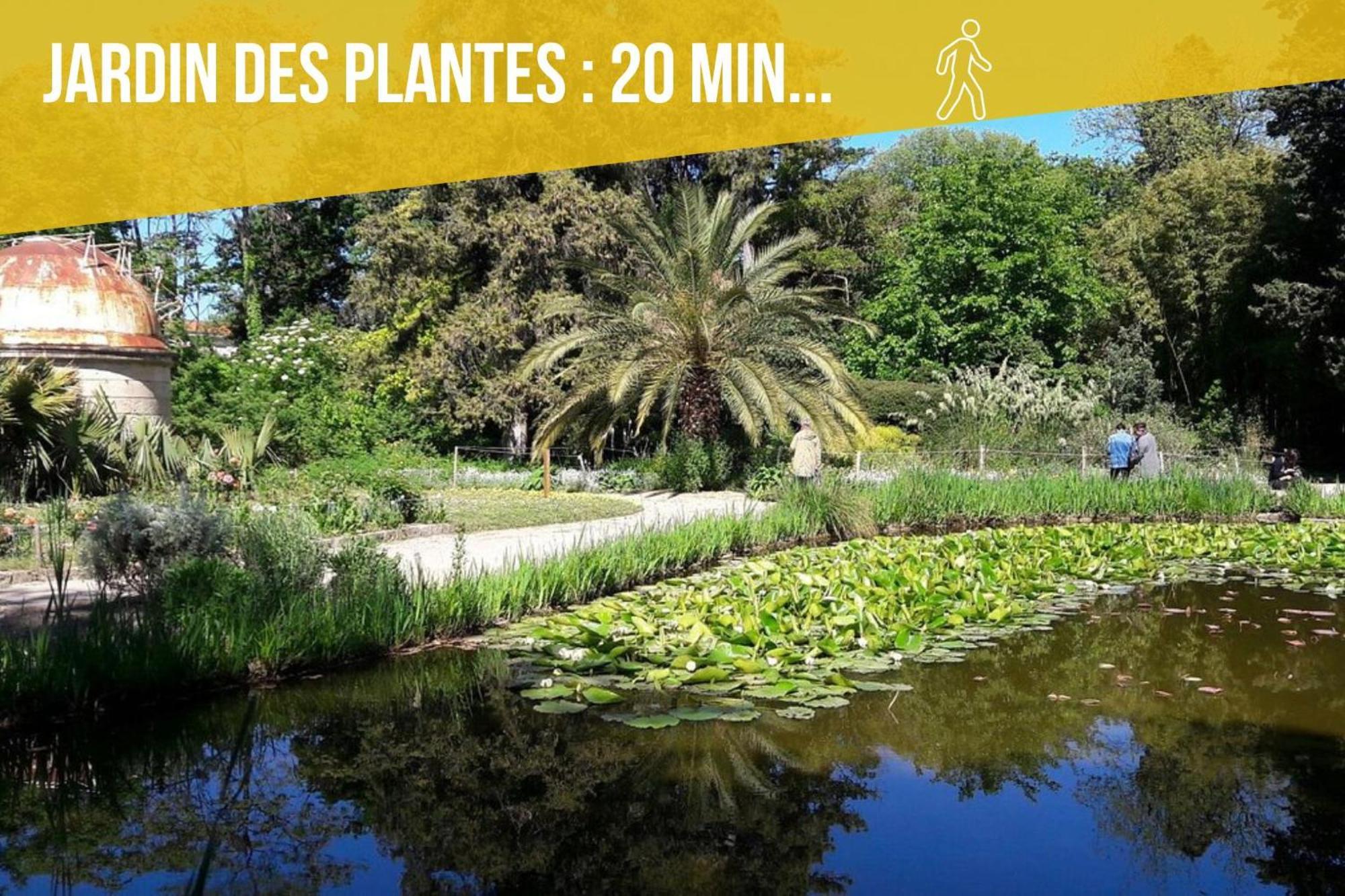 Amja Proche Clinique Saint-Roch Apt 3 Chambres 3 Salles De Bain Parking Gratuit Ideal Famille Groupe Coworking 10 Min Centre Ville 10 Min Plage 5 Min Sortie Autoroute モンペリエ エクステリア 写真