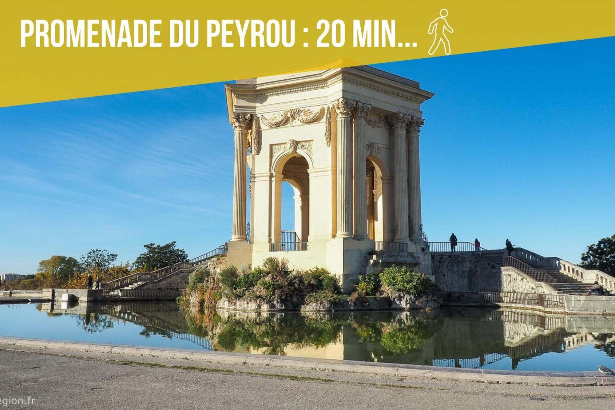 Amja Proche Clinique Saint-Roch Apt 3 Chambres 3 Salles De Bain Parking Gratuit Ideal Famille Groupe Coworking 10 Min Centre Ville 10 Min Plage 5 Min Sortie Autoroute モンペリエ エクステリア 写真