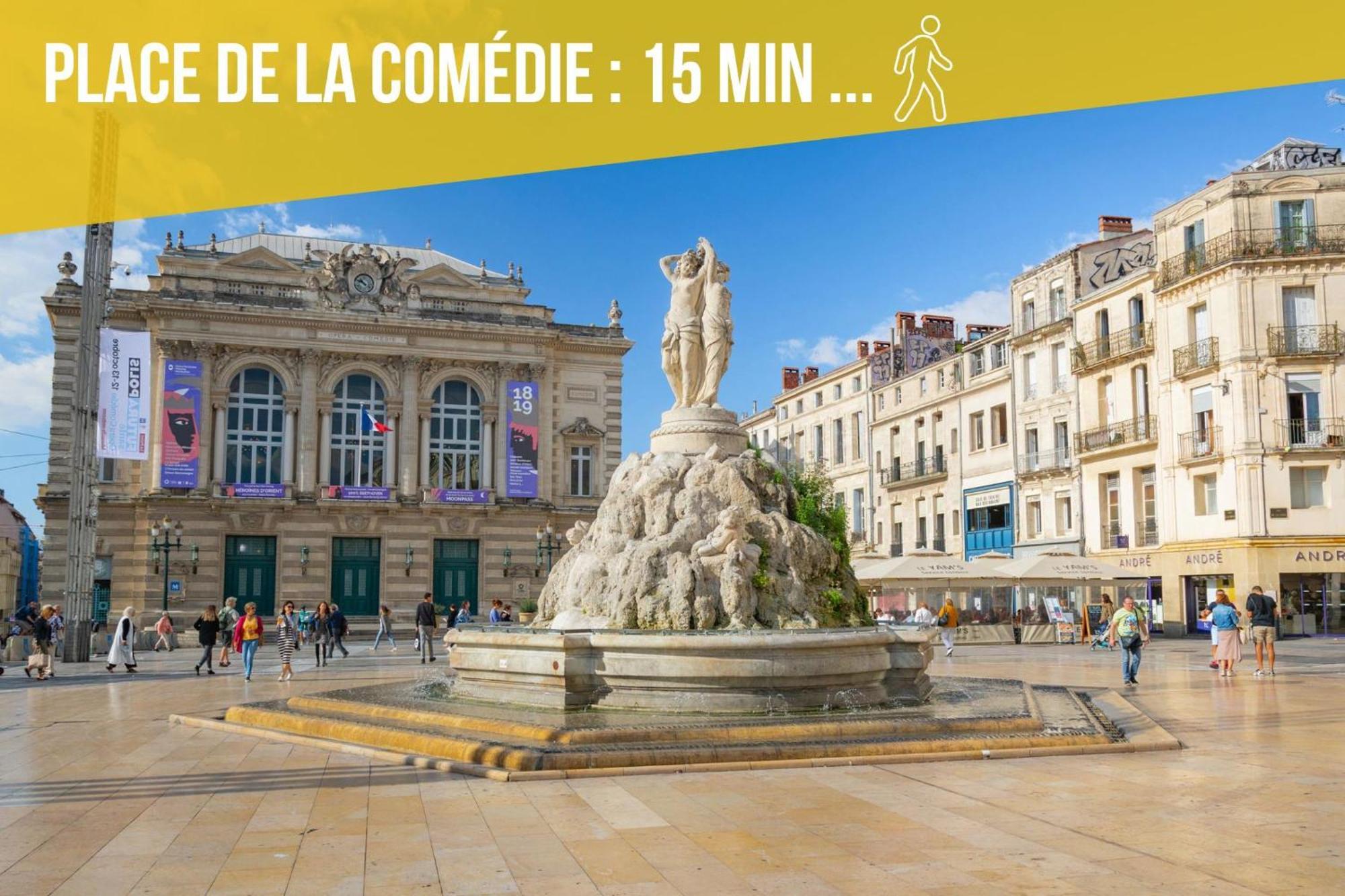 Amja Proche Clinique Saint-Roch Apt 3 Chambres 3 Salles De Bain Parking Gratuit Ideal Famille Groupe Coworking 10 Min Centre Ville 10 Min Plage 5 Min Sortie Autoroute モンペリエ エクステリア 写真